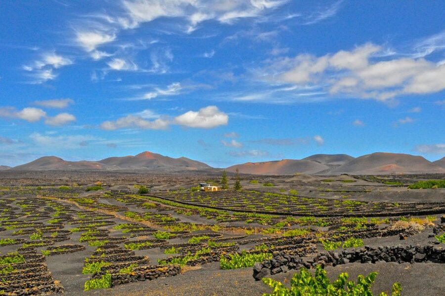 Lanzarote: Volcanos of Timanfaya and Caves Tour with Lunch - Key things to know before you book