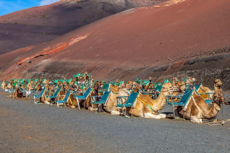 Lanzarote: Volcanos of Timanfaya and Caves Tour with Lunch - El Golfo and the green lagoon