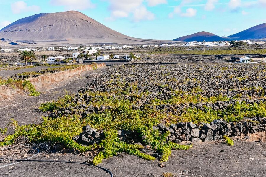 Lanzarote: Volcanos of Timanfaya and Caves Tour with Lunch - Lunch in Yaiza: useful, not romantic