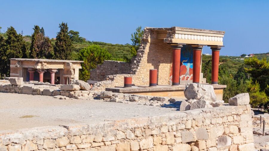 Lassithi, Zeus Cave, Olive Mill Farm & Knossos Combo Tour - The olive farm: tasting, lunch, and a sales stop