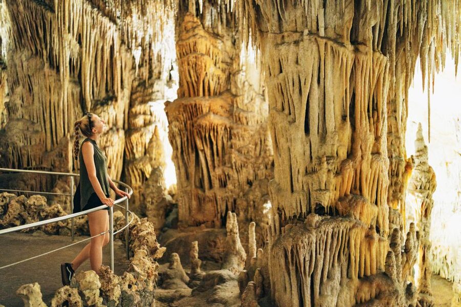 Mallorca: Caves of Drach Day Trip & Optional Caves of Hams - Who will enjoy this Mallorca excursion most?