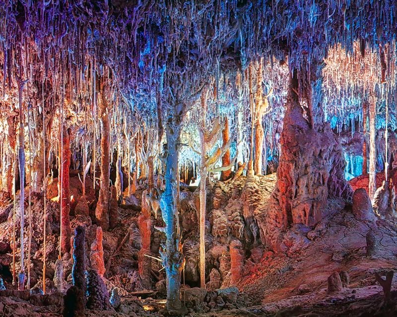 Mallorca: Dinosaurland and Caves of Hams Combined Ticket - Why this Porto Cristo combination works
