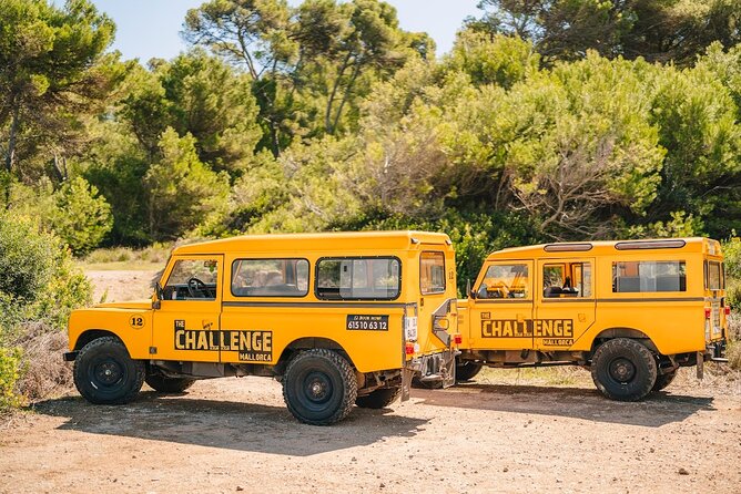 Mallorca: Kayaking, Sea Cave, Cliff Jumping & Snorkel Tour - What the $80 price really covers