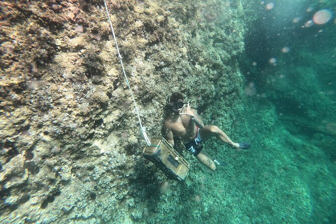 Mallorca: Kayaking, Sea Cave, Cliff Jumping & Snorkel Tour - Alcúdia and La Victòria set the scene