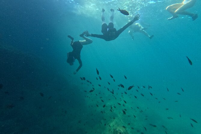 Mallorca: Kayaking, Sea Cave, Cliff Jumping & Snorkel Tour - Picnic, photos, and the useful extras