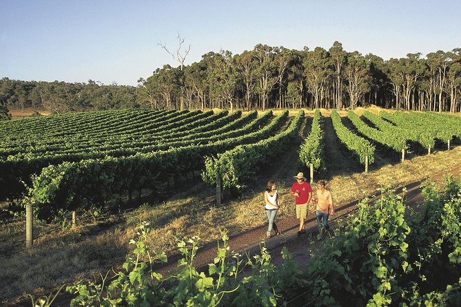 Margaret River, Caves, Wine and Cape Leeuwin Lighthouse Tour from Perth - What this Perth to Margaret River tour is really like