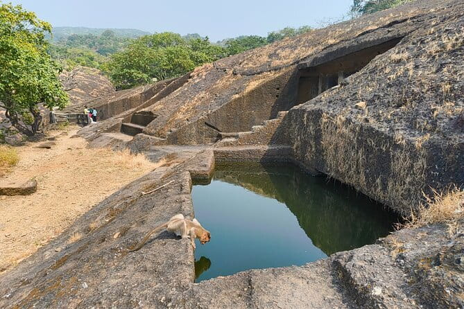 Mumbai Kanheri Caves & Golden Pagoda – A Buddhist Settlement - The panoramic view and the park setting