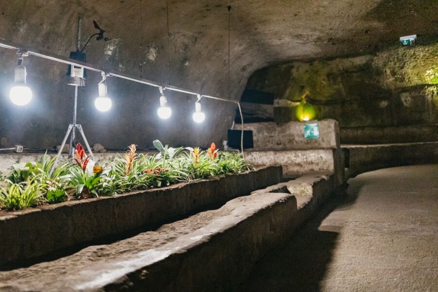 Naples: Naples Underground Entry Ticket and Guided Tour - Languages, audio help, and hearing the guide