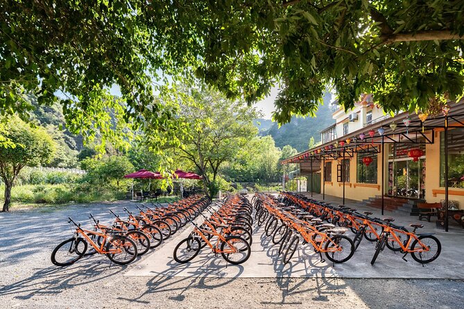 Ninh Binh Day Trip: Bai Dinh-Trang An-Mua Cave, Buffet, Boat, Bus - Transport, group size, and guide quality