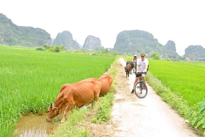 Ninh Binh Private Tour to Mua Cave Trang An Grottoes From Hanoi - Why this Ninh Binh day trip works