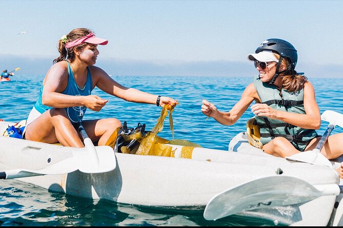 Original La Jolla Sea Cave Kayak Tour for Two - Starting at Avenida de la Playa