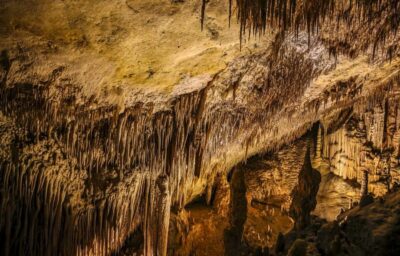 Caves of Drach Entrance, Music Concert, and Boat Trip