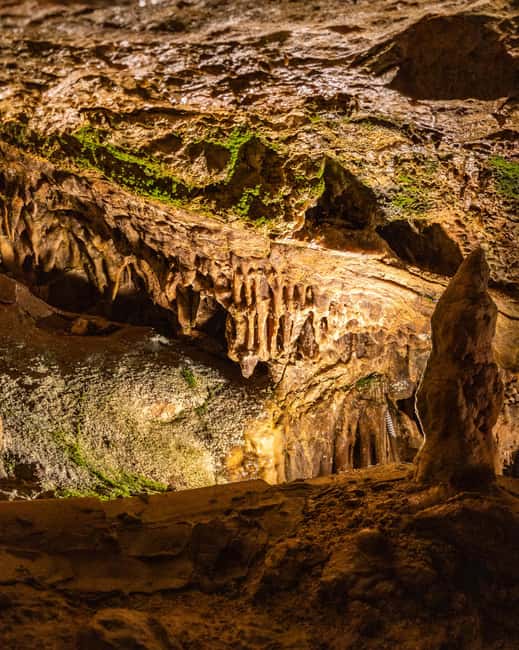 Palma: Caves of Genova Ticket & Digital Audio Guide - The descent to 36 meters