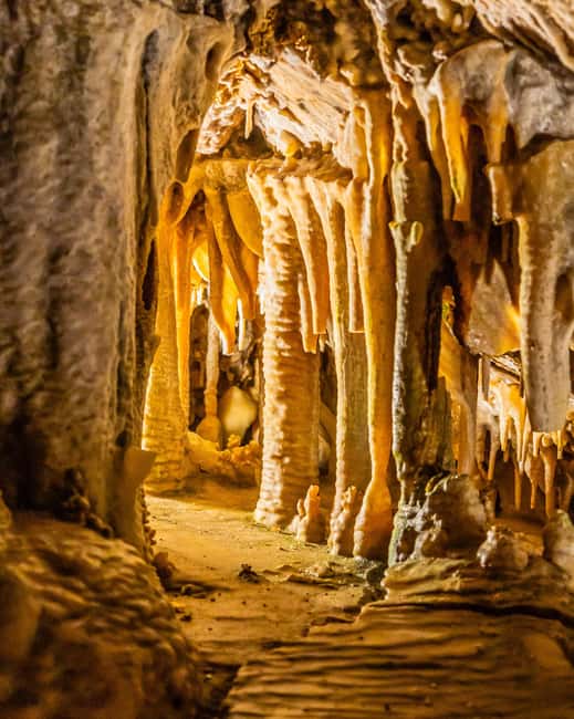 Palma: Caves of Genova Ticket & Digital Audio Guide - The rock formations and underground atmosphere