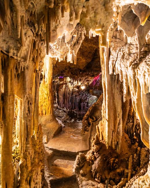 Palma: Caves of Genova Ticket & Digital Audio Guide - Who should book the Caves of Genova?