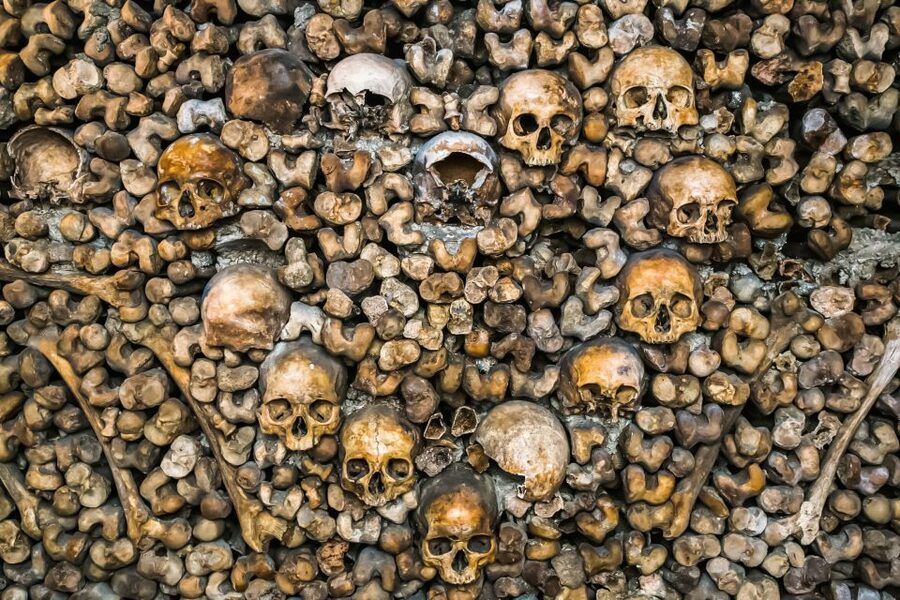 Paris: Catacombs Restricted Access Tour - The public ossuary and its carefully arranged bones
