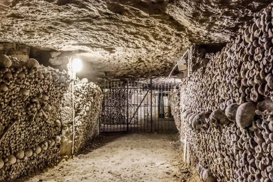 Paris: Catacombs Restricted Access Tour - Who should take this Catacombs tour?
