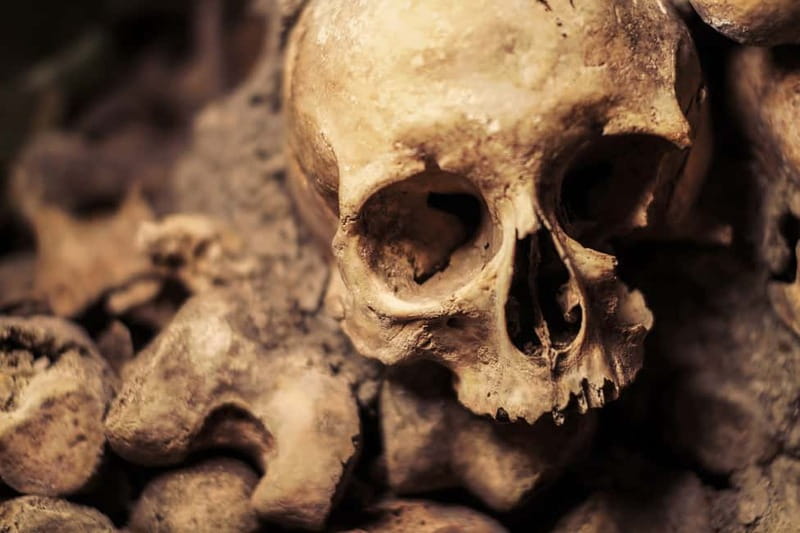 Paris: Catacombs Special Access Tour - Key points to know before you book