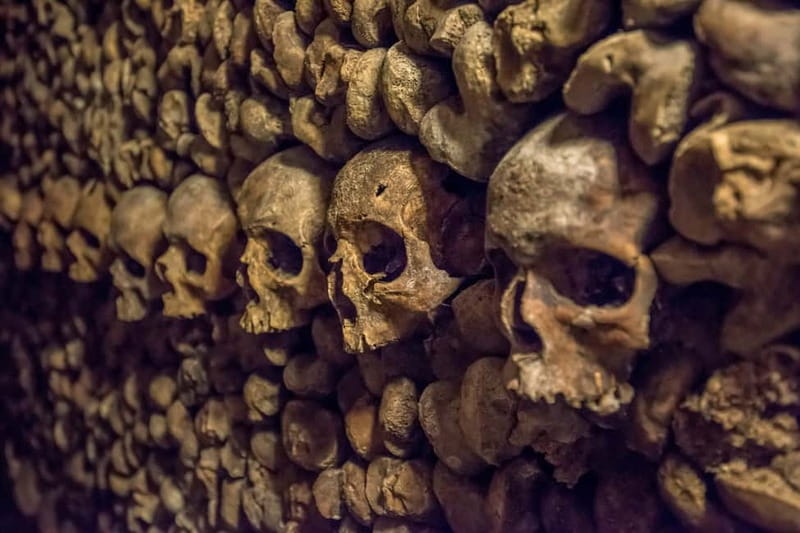 Paris: Catacombs Special Access Tour - Descending 130 steps into Paris
