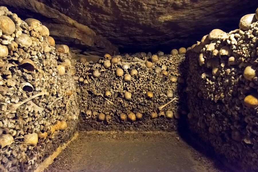 Paris: Catacombs Ticket and Seine River Cruise - Key points to know before booking