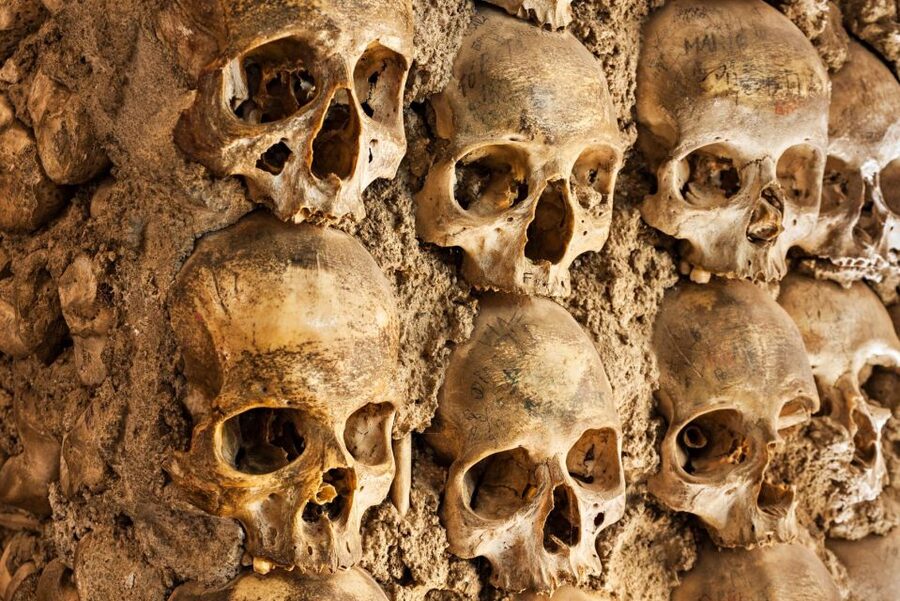 Paris: Catacombs Ticket and Seine River Cruise - Why the Paris Catacombs are worth seeing