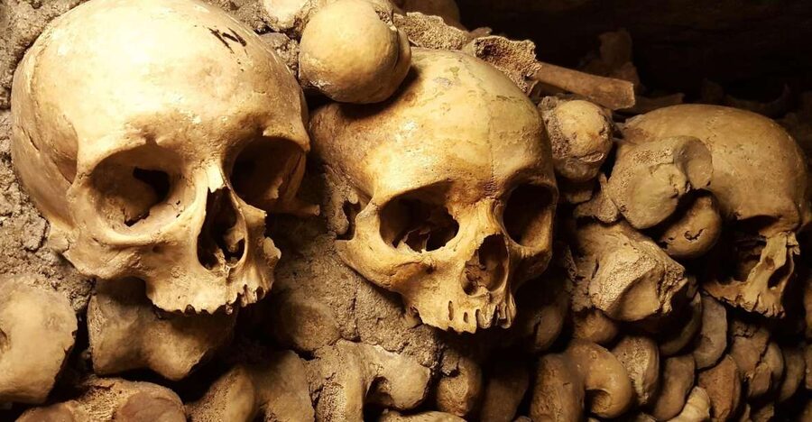 Paris: Catacombs Ticket and Seine River Cruise - The ticket details that matter most