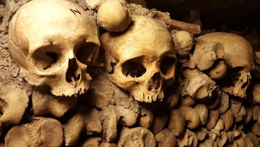 Paris: Catacombs Ticket and Seine River Cruise - A cruise that shows Paris from a better angle