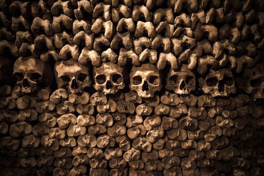 Paris: Catacombs Ticket and Seine River Cruise - Who will enjoy this experience most?
