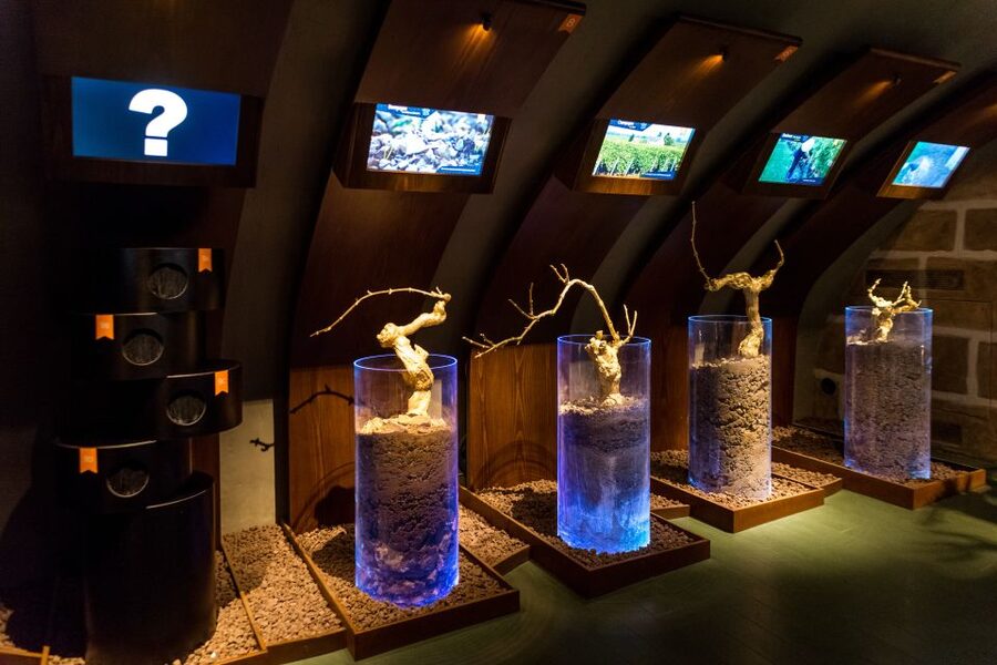 Paris: Les Caves du Louvre Guided Tour with Wine Tastings - Is $41 good value for one hour?