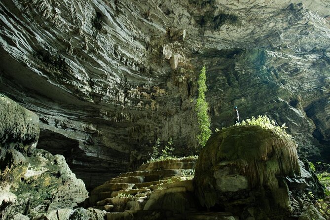 Phong Nha & Paradise Cave - 1 Day All Inclusive - Five things to know before booking