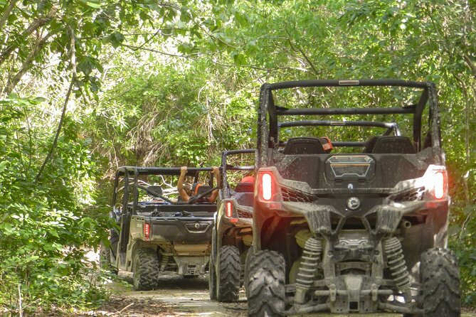 Playa del Carmen Buggy Tour with Cenote Swim and Mayan Village Visit - What this Playa del Carmen adventure actually includes