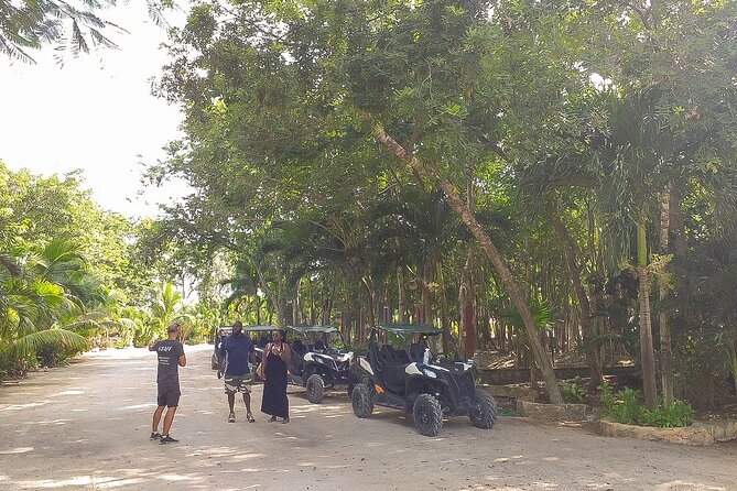 Playa del Carmen Buggy Tour with Cenote Swim and Mayan Village Visit - The cenote swim is the cooling reward