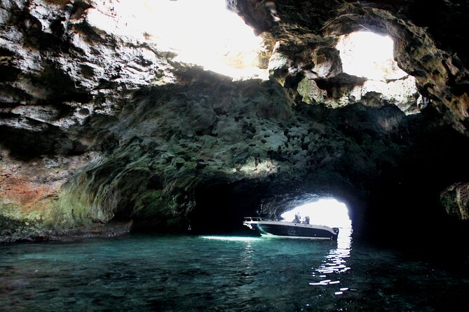 Polignano a Mare boat tour emotions, caves, diving and appetizers - The skipper makes or breaks the 90 minutes