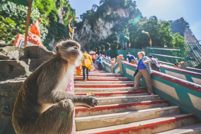 Private Half-Day Batu Caves and Cutural Tour in Kuala Lumpur - Who should book this experience