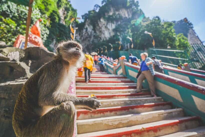 Private KL City Tour with Petronas Twin Towers & Batu Caves - Why private transport helps in Kuala Lumpur