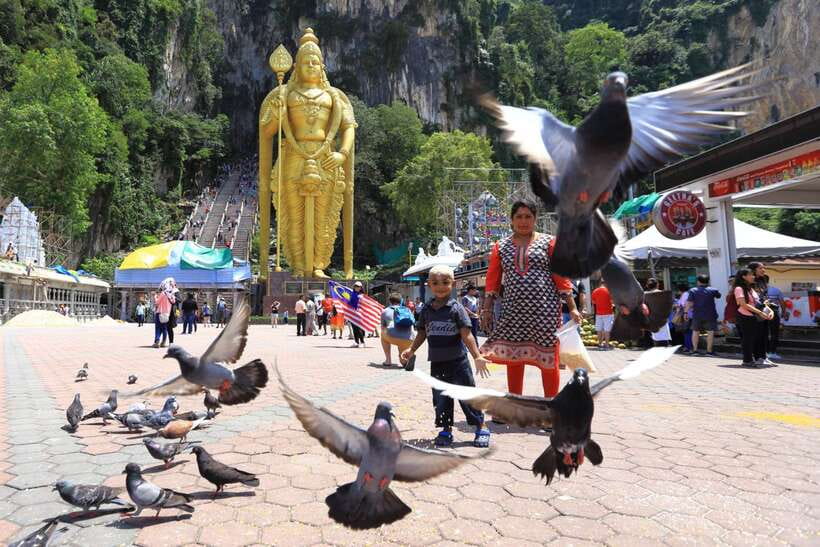 Private KL City Tour with Petronas Twin Towers & Batu Caves - Central Market, Chinatown, and local shopping