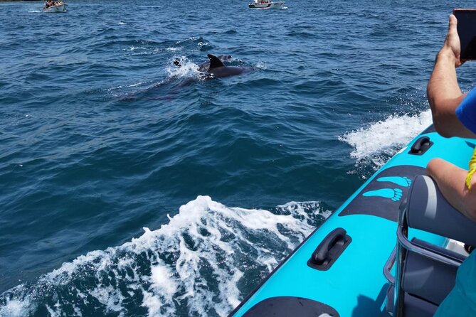 Private Tour Benagil Caves from Portimao - Leaving Portimão and Passing Ferragudo