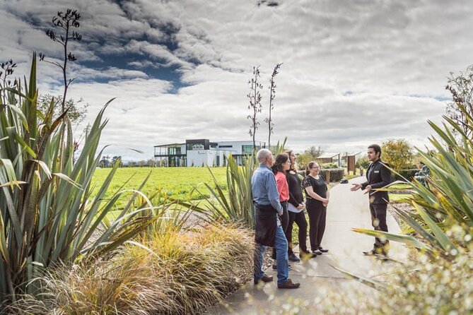 Private tour from Auckland - Waitomo Glowworm Caves, Zealong Tea & Kiwi Bird - Key details worth knowing