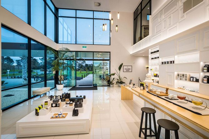 Private tour from Auckland - Waitomo Glowworm Caves, Zealong Tea & Kiwi Bird - Zealong Tea Estate: New Zealand in a teacup
