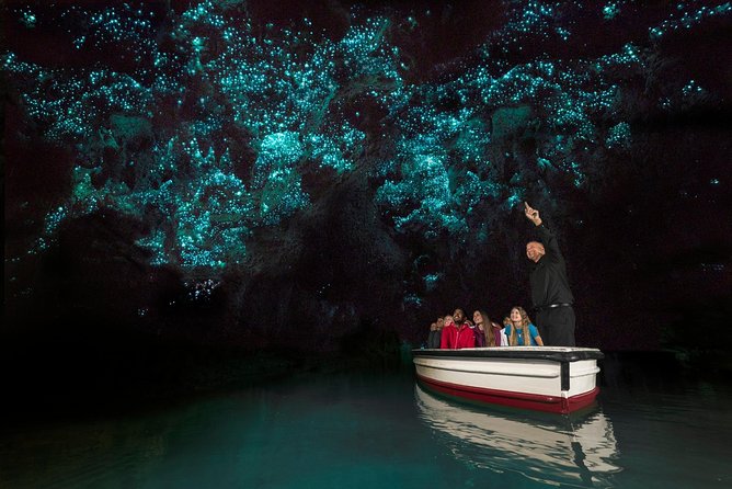 Private tour from Auckland - Waitomo Glowworm Caves, Zealong Tea & Kiwi Bird - The private guide changes the feel of the day