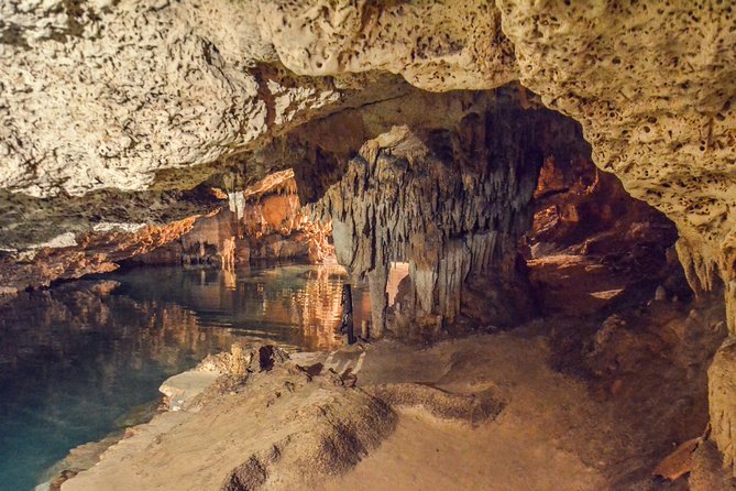 Private Tulum Ruins, Turtles in Akumal and Cenote Adventure - Private transport is the tour’s biggest advantage