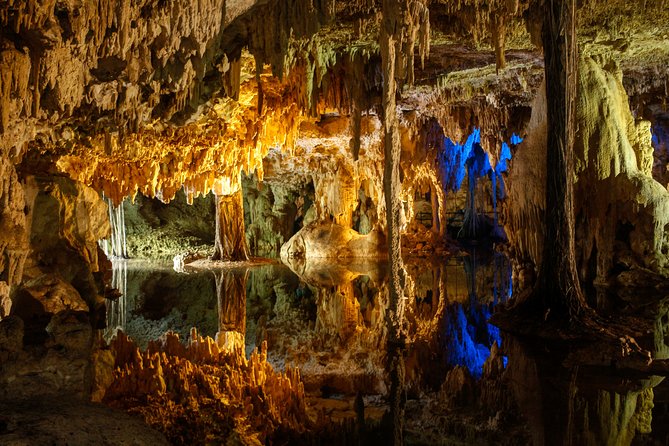 Private Turtles & Cenotes Adventure - Private transportation and a guide who can adapt
