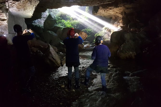 Private Waitomo Glowworm Cave Tours - Meeting the guide at Oparure Road