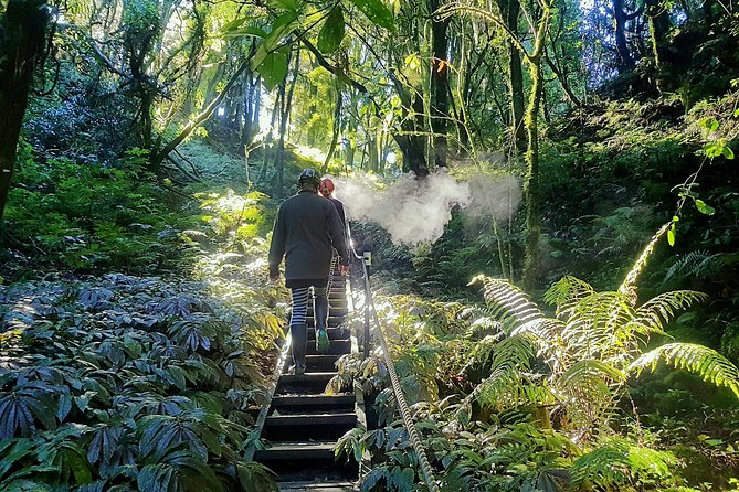 Private Waitomo Glowworm Cave Tours - Is $682.01 good value for your group?