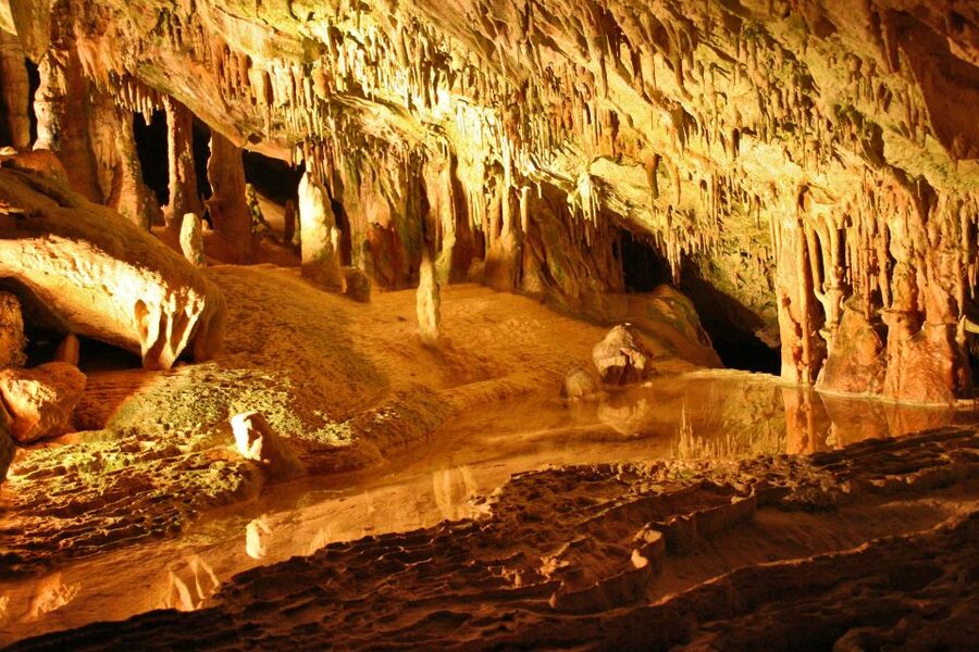 Puerto de San Miguel: Can Marçá Cave Guided Tour with Entry - Language, timing, and booking flexibility