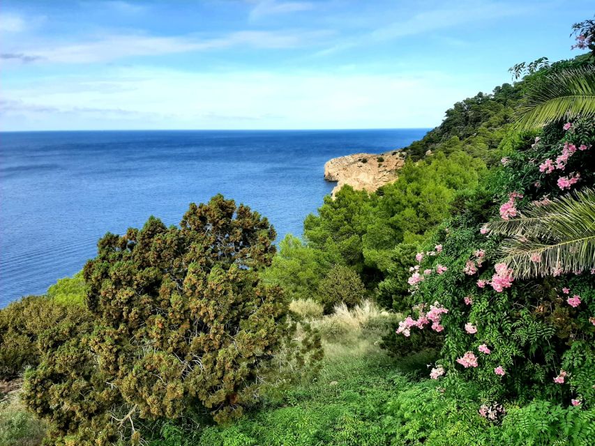 Puerto de San Miguel: Can Marçá Cave Guided Tour with Entry - What makes Can Marçá Cave worth your time