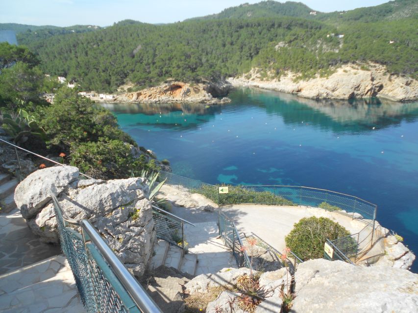 Puerto de San Miguel: Can Marçá Cave Guided Tour with Entry - Who will enjoy this 45-minute tour?