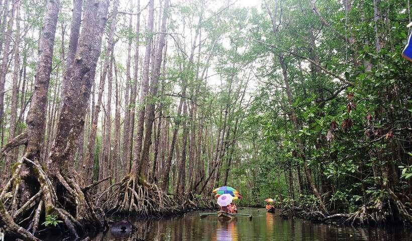 Puerto Princesa: Underground River, Zipline, Paddleboat Tour - Practical tips for a smoother day