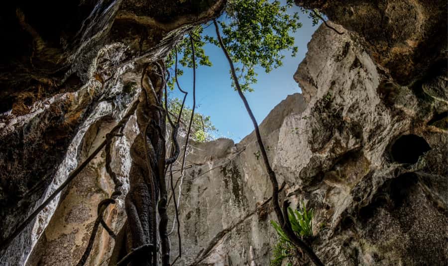 Queensland: 90 Minute Capricorn Caves Explorer Tour - What this Capricorn Caves tour actually offers