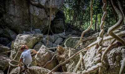 Queensland: 90 Minute Capricorn Caves Explorer Tour